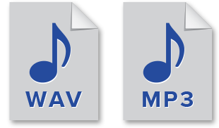 WAV and MP3 file type format