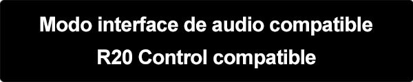 Audio_interface_mode_supported_R20_Control_SP