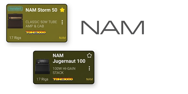 NEURIG_NAM-inset-6-1800x900