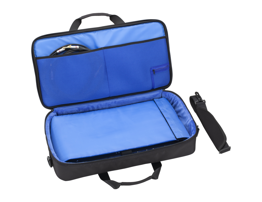zoom - G11（CBG-11 キャリングバッグ付き）※随時お値下げ中！ Carrying Bag for G11 / L-12 | ZOOM