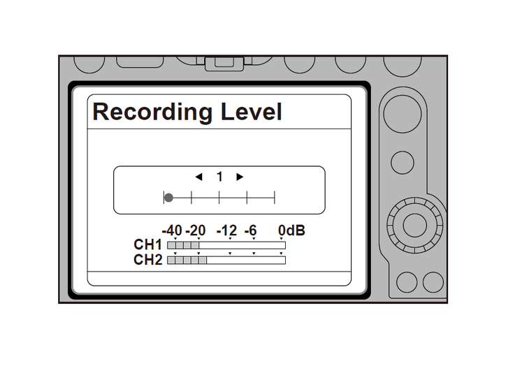 Recording Level setting screen on camera side