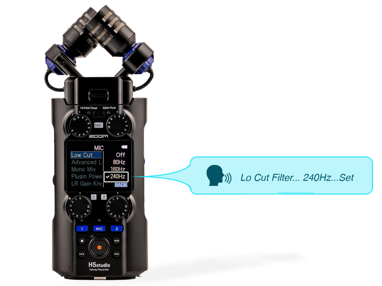 H5studio Accessibility Vocal Guide Example