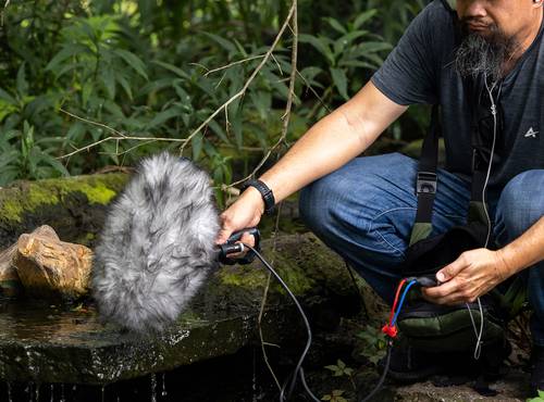 Sound designer Watson Wu using the H1 XLR to capture nature sounds by a running stream