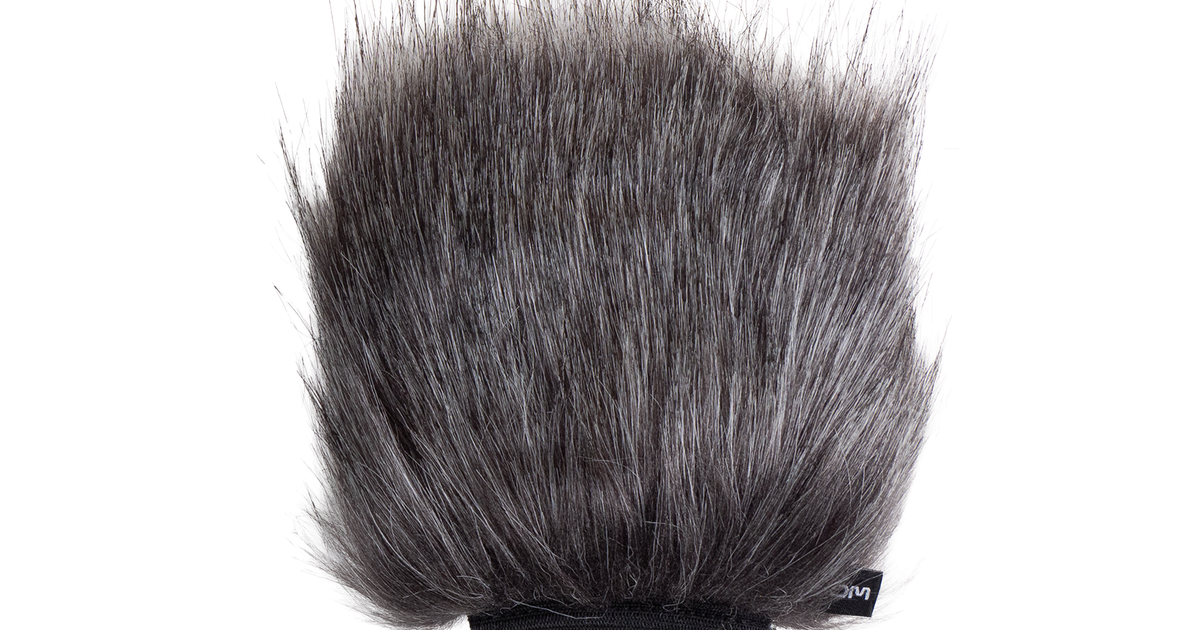 WSH-4e.png.1200x630_q80_crop-