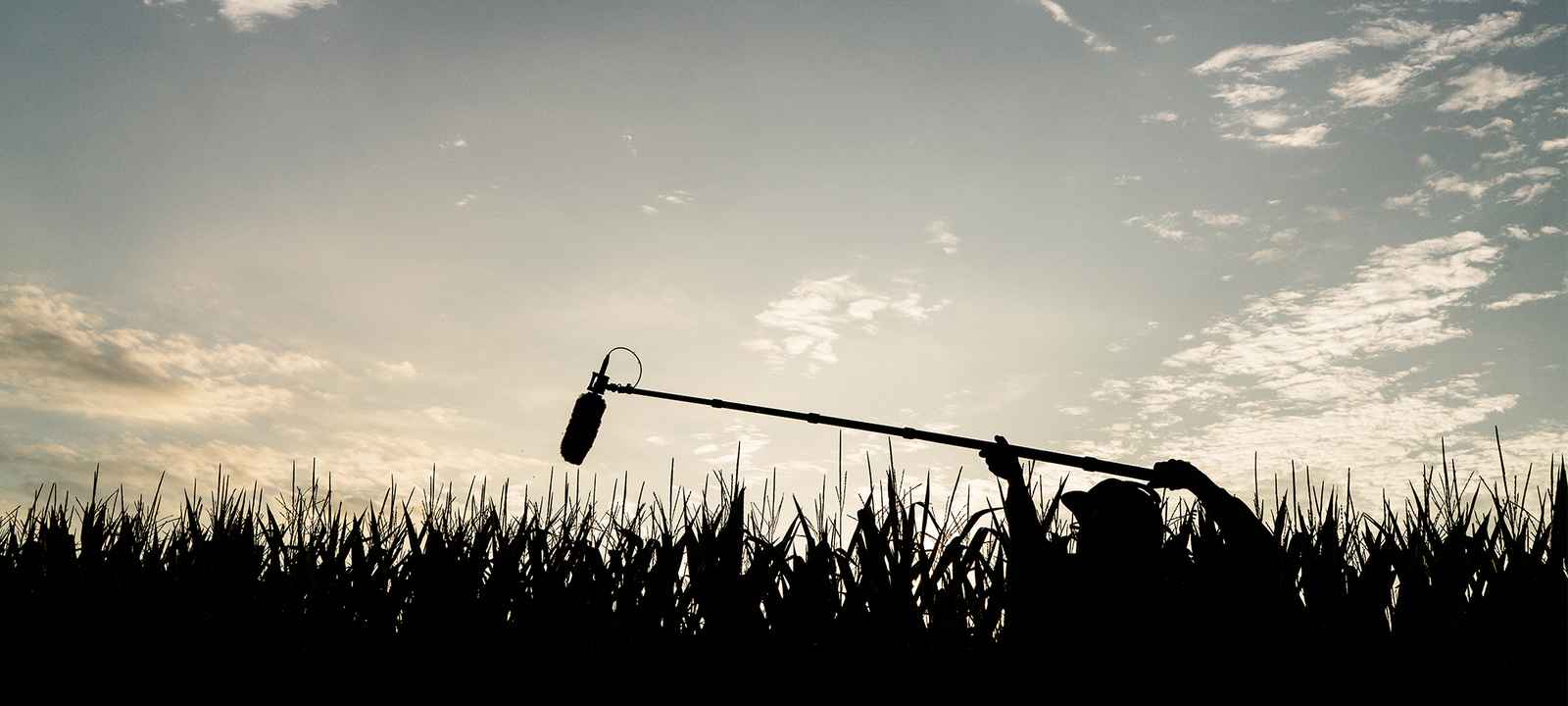 Sound recordist in field