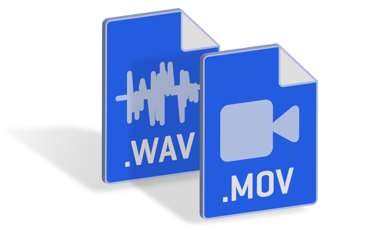 .wav and .mov file types