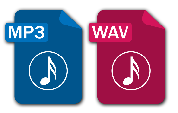 .wav and .mov file types