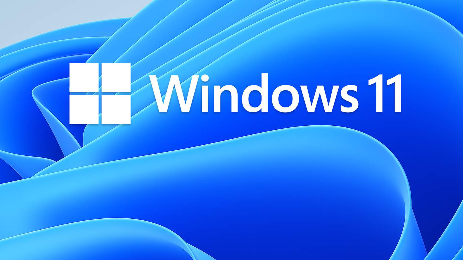 Windows 11 Compatibility | ZOOM